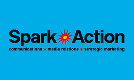 Spark Action Consulting